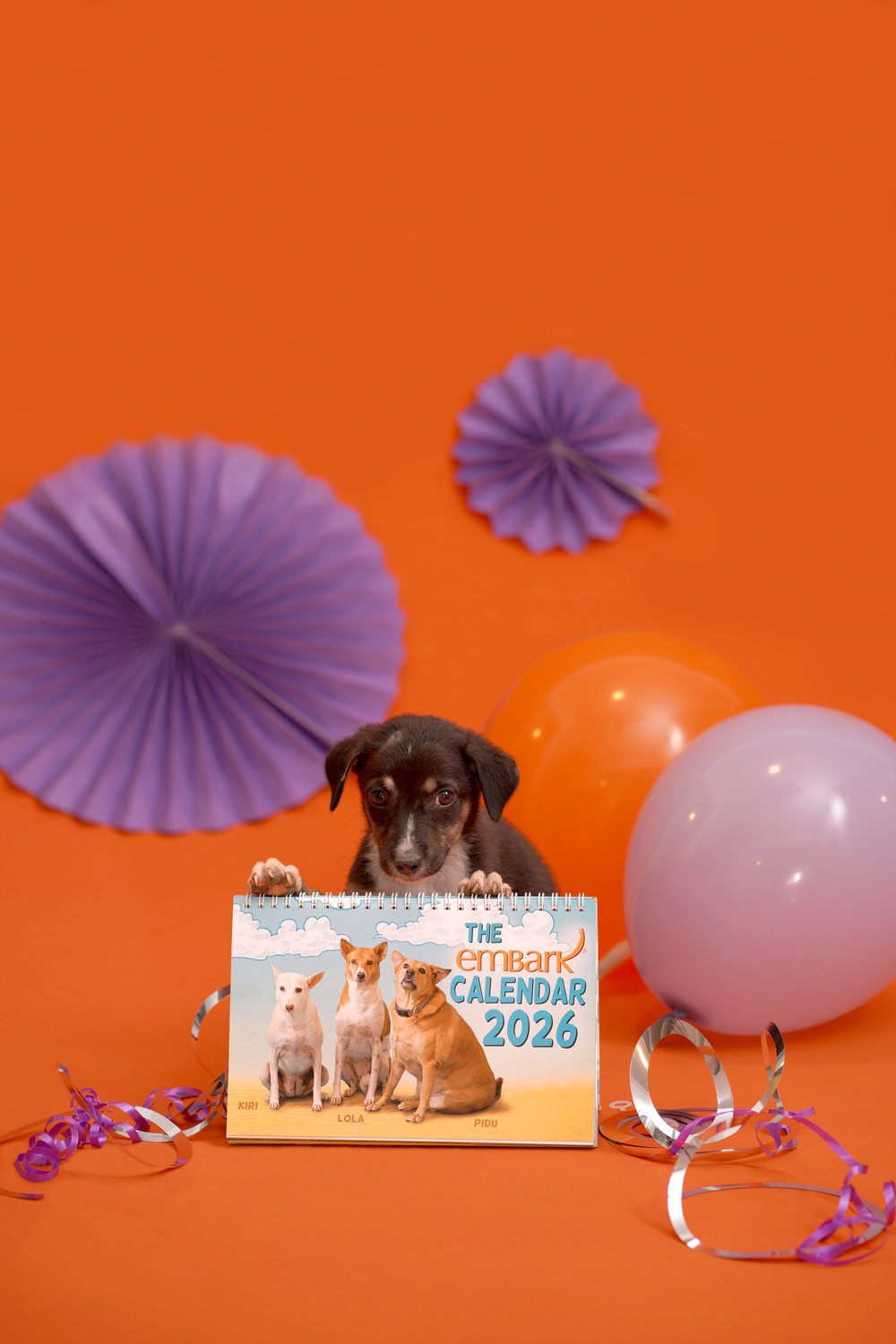 EMBARK CALENDER 2026