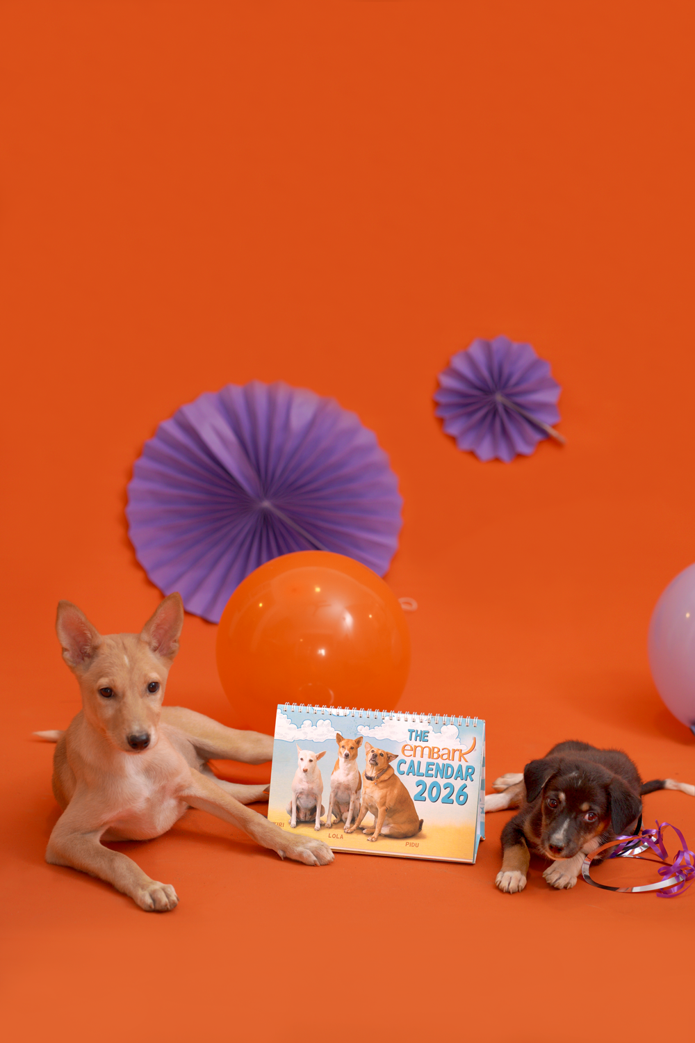 EMBARK CALENDER 2026